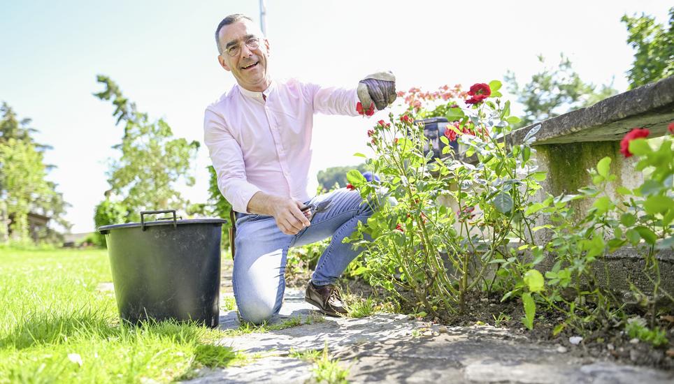 Portrait von Stephan Schlatter, Regierungsrat Kandidat, schneidet Rosen in seinem Garten, am Montag, 01 Juli 2024. (Melanie Duchene / Schaffhauser Nachrichten)