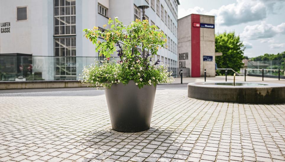 Neue Blumentï¿ï¾¶pfe beim SIG Areal und in Neuhausen , am Mittwoch, 24 Juli 2024. (Melanie Duchene / Schaffhauser Nachricht