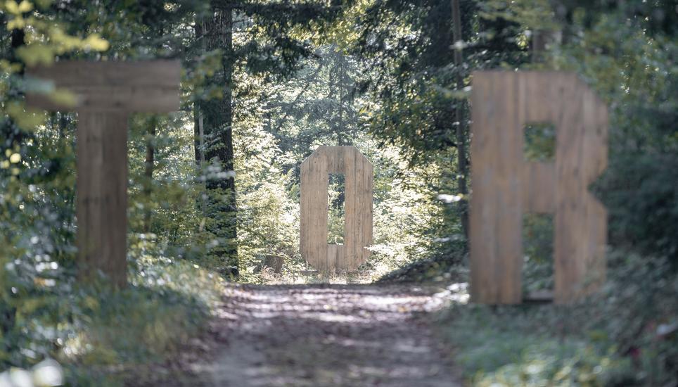 Holzbuchstaben von Kï¿ï¾¼nstler Matthias Zurbrï¿ï¾¼gg auf dem Waldfriedhof fotografiert am 19.09.2024, in Schaffhausen. (Laurin Werner / Schaffhauser Nachr