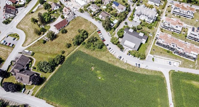 Teil Gebiet Areal Hofacker, fotografiert am Freitag, 05. Juli 2024, in Uhwiesen. (Roberta Fele / Schaffhauser Nachrichten)
Drohnenaufnahmen