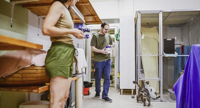 SN Redaktor Kay Fehr hilft einen Tag lang im Katzenhaus in Neuhausen aus , am Dienstag, 23 Juli 2024. (Melanie Duchene / Schaffhauser Nachrichten)