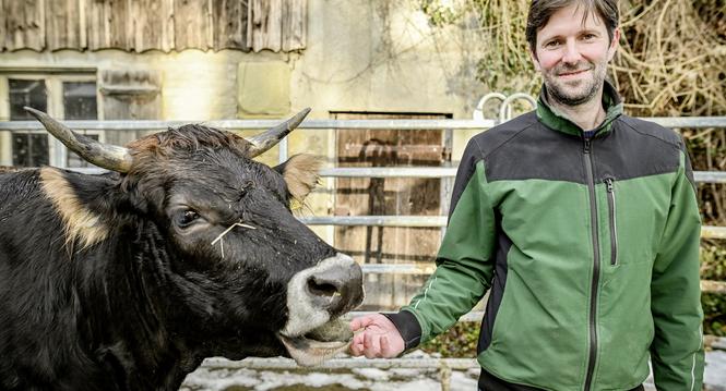 Portrait und Interview von Kilian Baumann, Grï¿ï¾¼nen Nationalrat und Bauer, auf seinem Biohof in Suberg, am Montag, 25. November 2024. (Melanie Duchene / Schaffhauser Nachricht